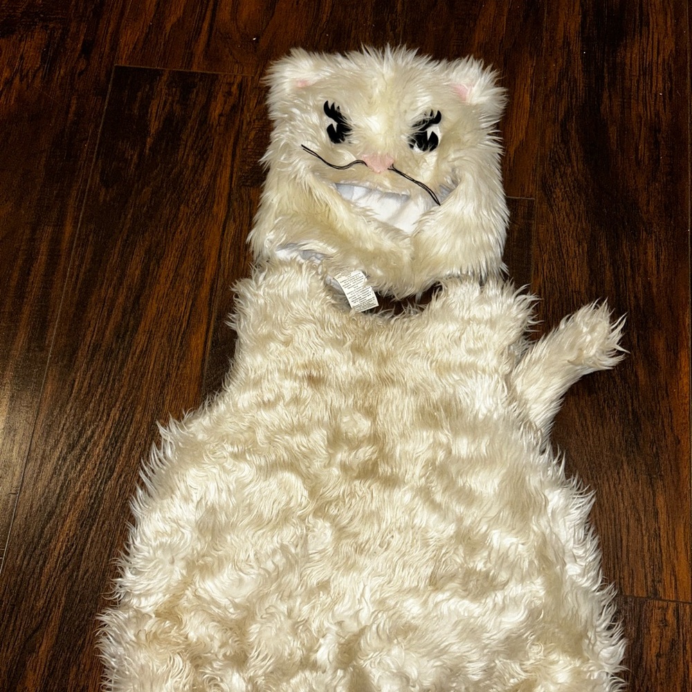 Pottery Barn Kids Cat Costume size 2-3t